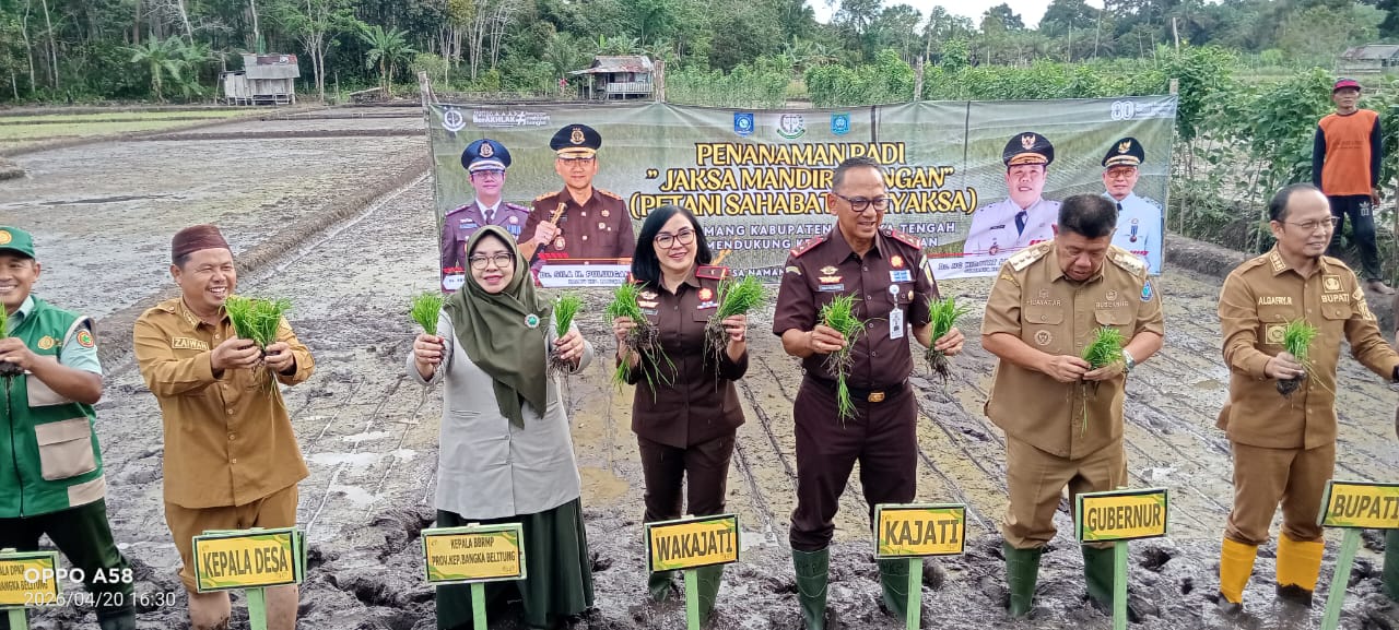 Galeri Desa Namang